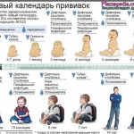 Календарь прививок для детей